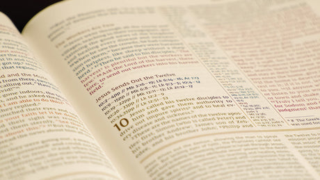 NIV, The Grace and Truth Study Bible, Leathersoft, Navy, Red Letter, Comfort Print - Retail Maharaj