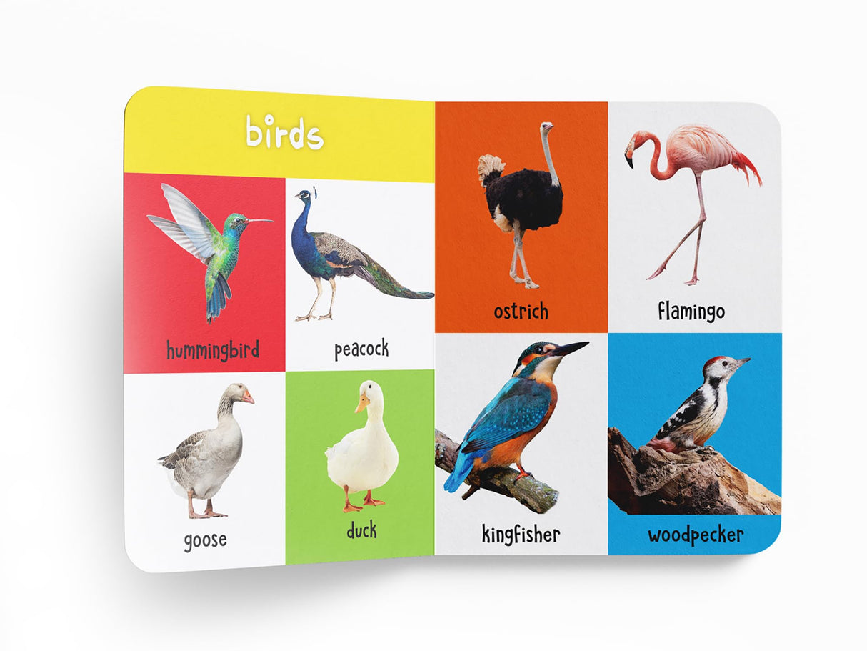 My First 100 Animals and Birds: Board Book for Kids | Part of My 100 Library Series | Learn Names of Wild Animals, Farm Animals, Pets & Birds with Bright Pictures | Early Learning Book for Babies, Toddlers & Preschoolers | Ages 0–5 Years - Retail Maharaj