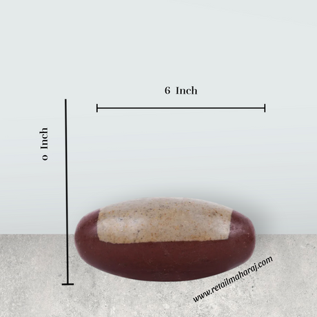 Narmadha Banalingam – 6 Inches | Banalinga Shivling / Shivalingam for Pooja & Worship - Retail Maharaj