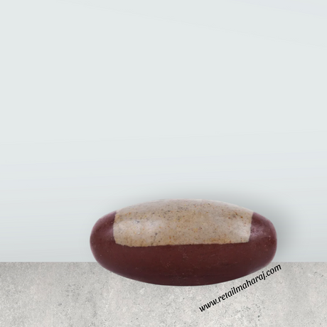 Narmadha Banalingam – 6 Inches | Banalinga Shivling / Shivalingam for Pooja & Worship - Retail Maharaj
