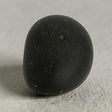 Shaligram Murti | Saligram Murti/ Shaligram Idol/ Shaligram Shila Stone for Pooja - Retail Maharaj