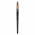 Princeton Aqua Elite Quill Brush Size 6 - Retail Maharaj