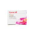 Camel Assorted Coloured Drawing Inks Set of 12 Shades in 20ml Bottles - Retail Maharaj