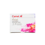 Camel Assorted Coloured Drawing Inks Set of 12 Shades in 20ml Bottles - Retail Maharaj