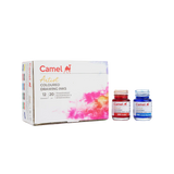 Camel Assorted Coloured Drawing Inks Set of 12 Shades in 20ml Bottles - Retail Maharaj