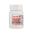 Camel Acrylic Matt Medium 100ml - Retail Maharaj