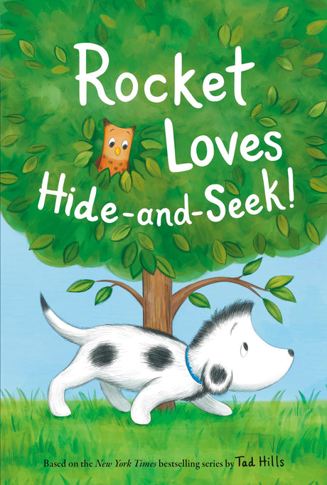 Rocket Loves Hide-and-Seek! - Retail Maharaj