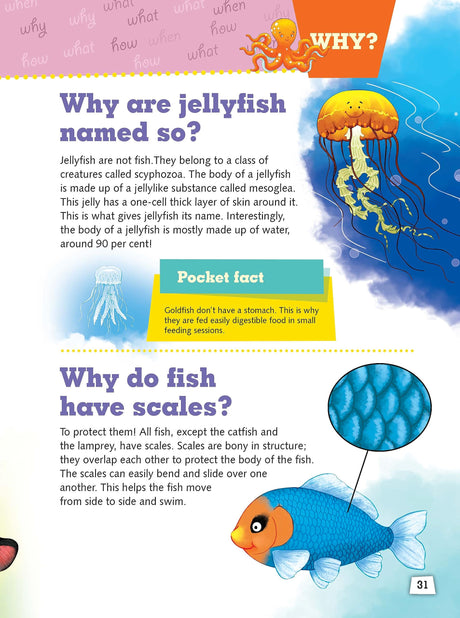 Encyclopedia: My Encyclopedia of Animals - What? Why? How? When? - Encyclopedia books for Children - Retail Maharaj
