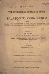Palaeontologia Indica New Series - Volume XXXVIII - Memoirs Of The Geological Survey Of India (Rare Book)