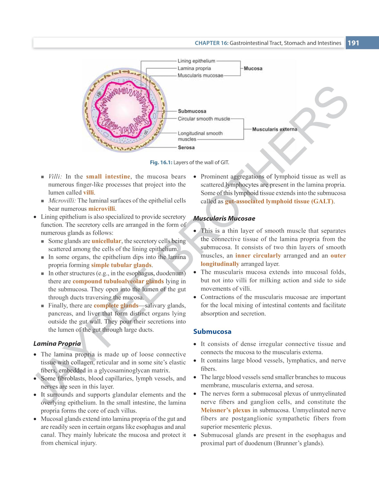 INDERBIR SINGH'S TEXTBOOK OF HUMAN HISTOLOGY - Retail Maharaj