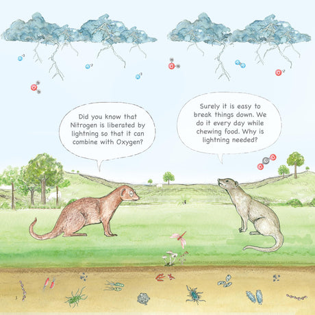 Why is Nitrogen Needed? - A Larks and Fables Story - Retail Maharaj