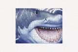 The Great White Shark 500-Piece Jigsaw Puzzle & Book - Retail Maharaj