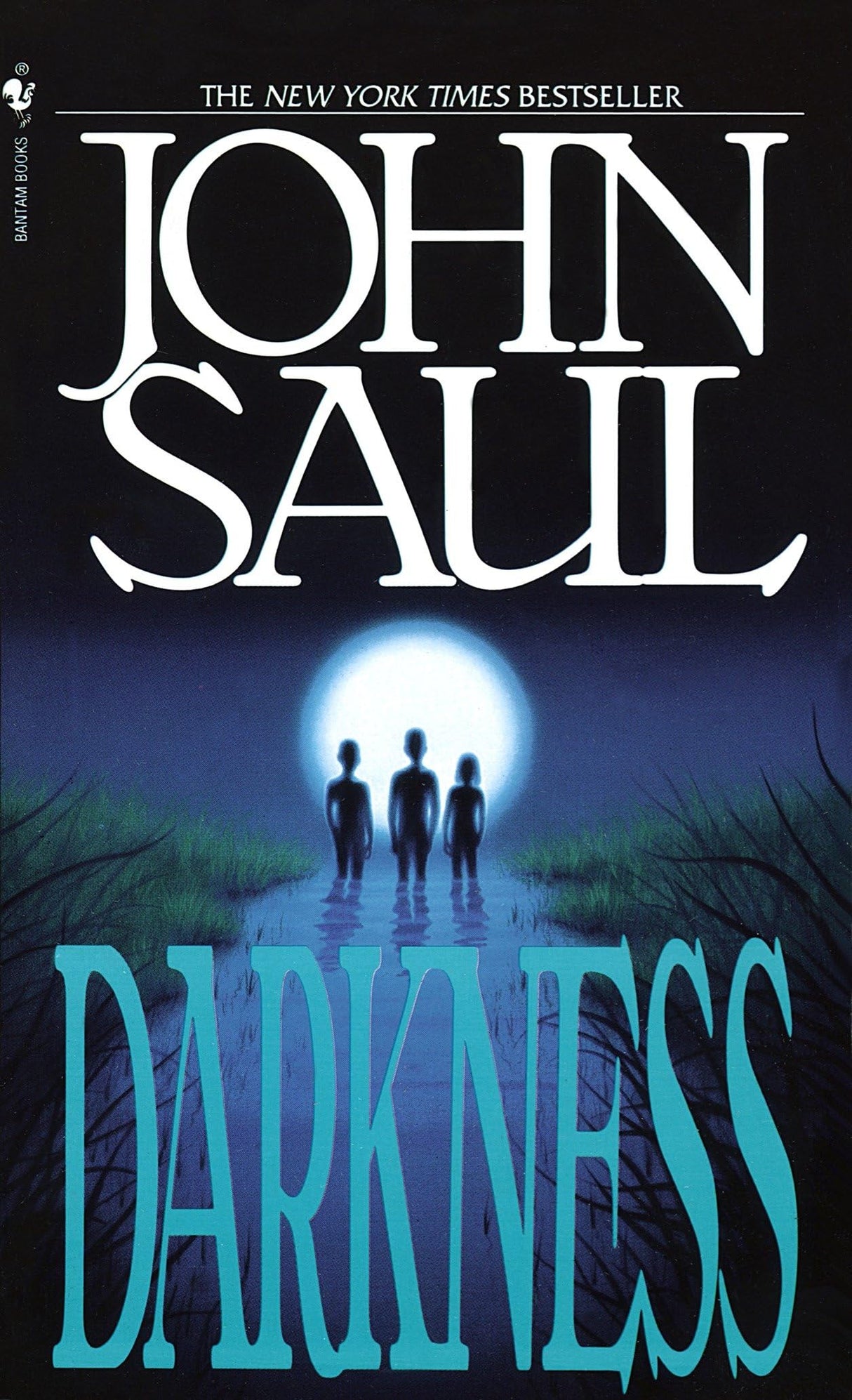 Darkness: A Novel - Retail Maharaj