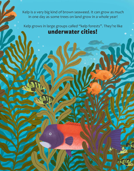 Big Questions Answered: Could We Survive Without Seaweed? Phycology - Retail Maharaj