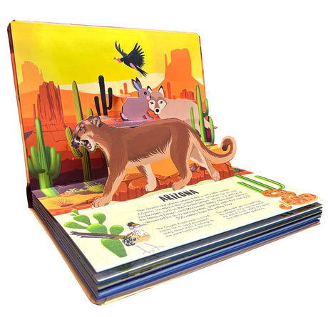 Pop Up Deserts Book for Kids: Interactive Learning with Adventure Pop-Up Scenes | Fun Facts & Surprises Inside | Amazing Animal Life, Habitat & ... | Children’s Nature & Geography Pop-Up Book - Retail Maharaj