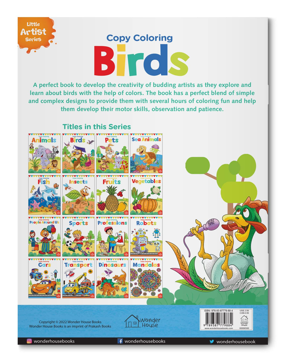 Little Artist Series Birds: Copy Colour Books - Retail Maharaj