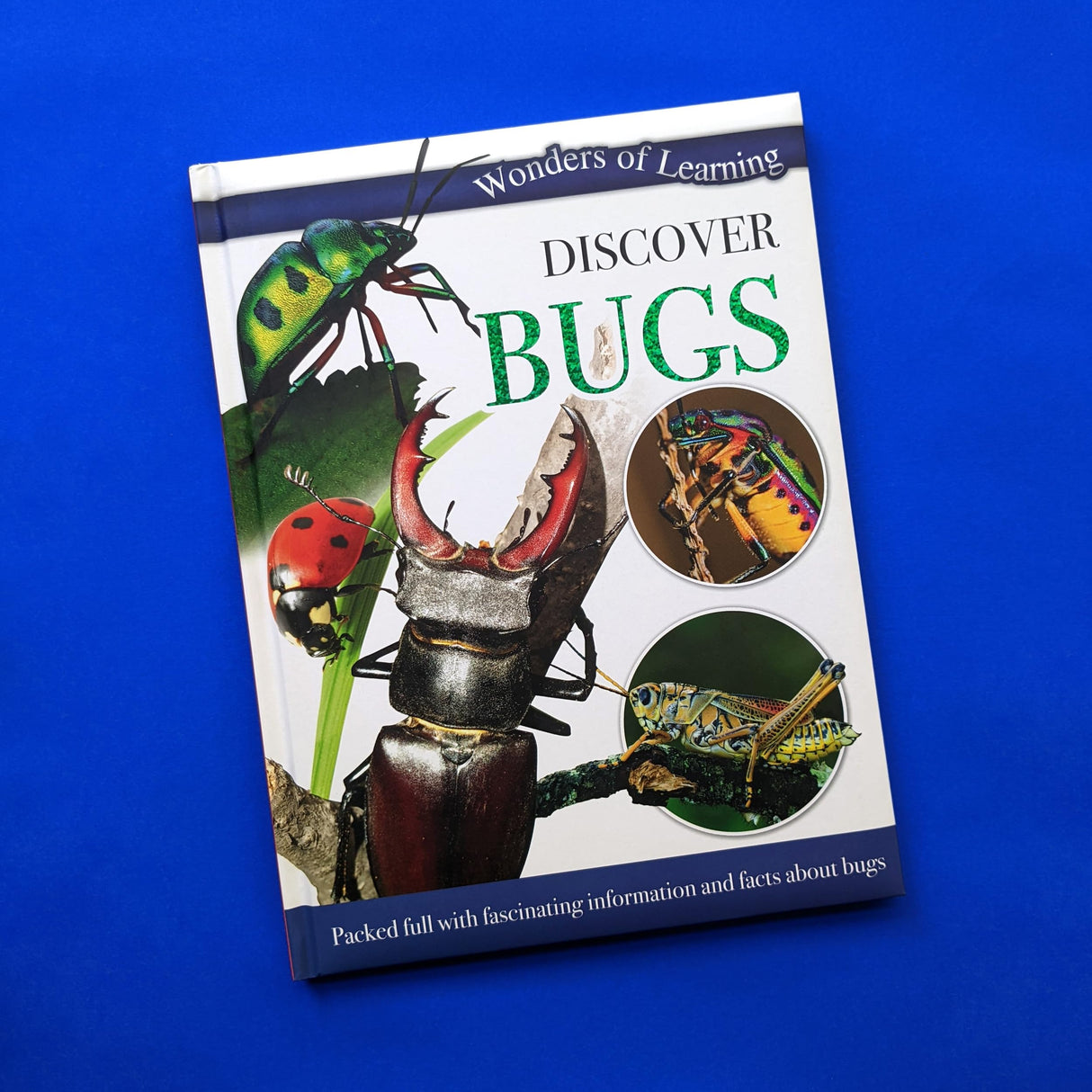 BUGS - Retail Maharaj