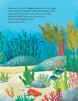 Big Questions Answered: Could We Survive Without Seaweed? Phycology - Retail Maharaj