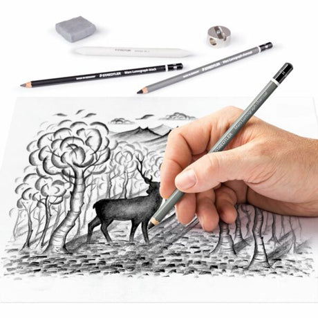 Staedtler Charcoal 12 Piece Drawing Set - Retail Maharaj