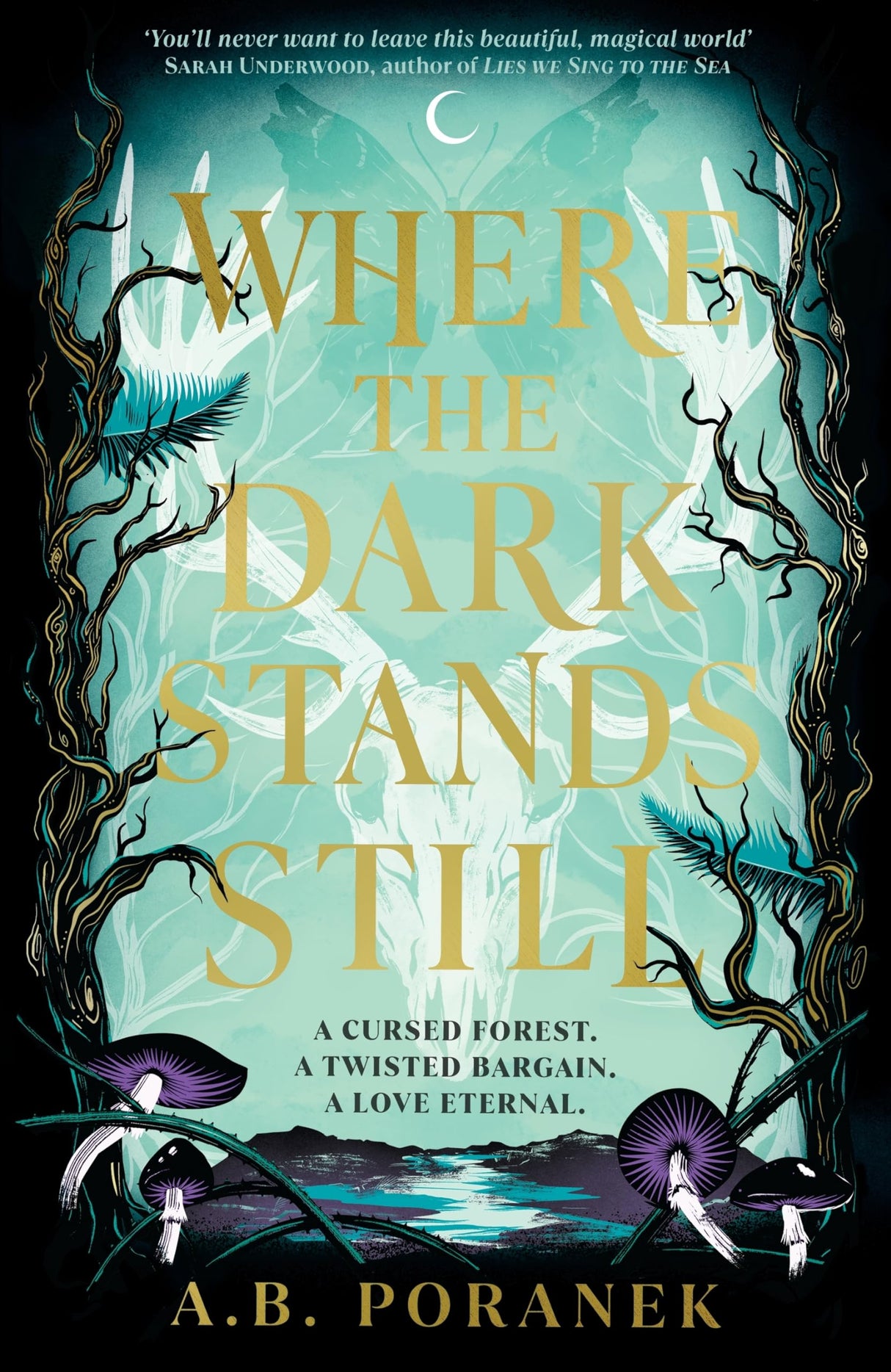 Where the Dark Stands Still: A sweeping, gothic YA fairytale romance - Retail Maharaj