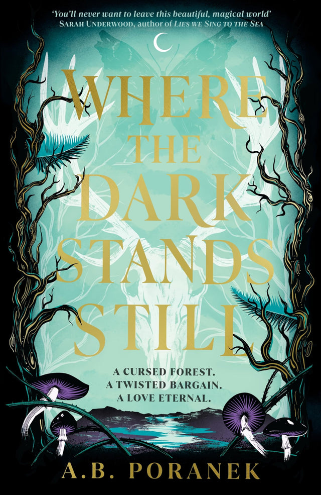 Where the Dark Stands Still: A sweeping, gothic YA fairytale romance - Retail Maharaj