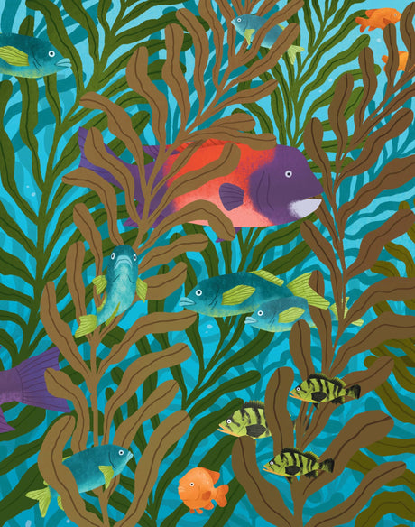 Big Questions Answered: Could We Survive Without Seaweed? Phycology - Retail Maharaj