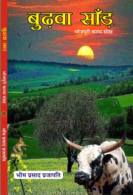 BUDWA SAND भोजपुरी कविता संग्रह - Retail Maharaj