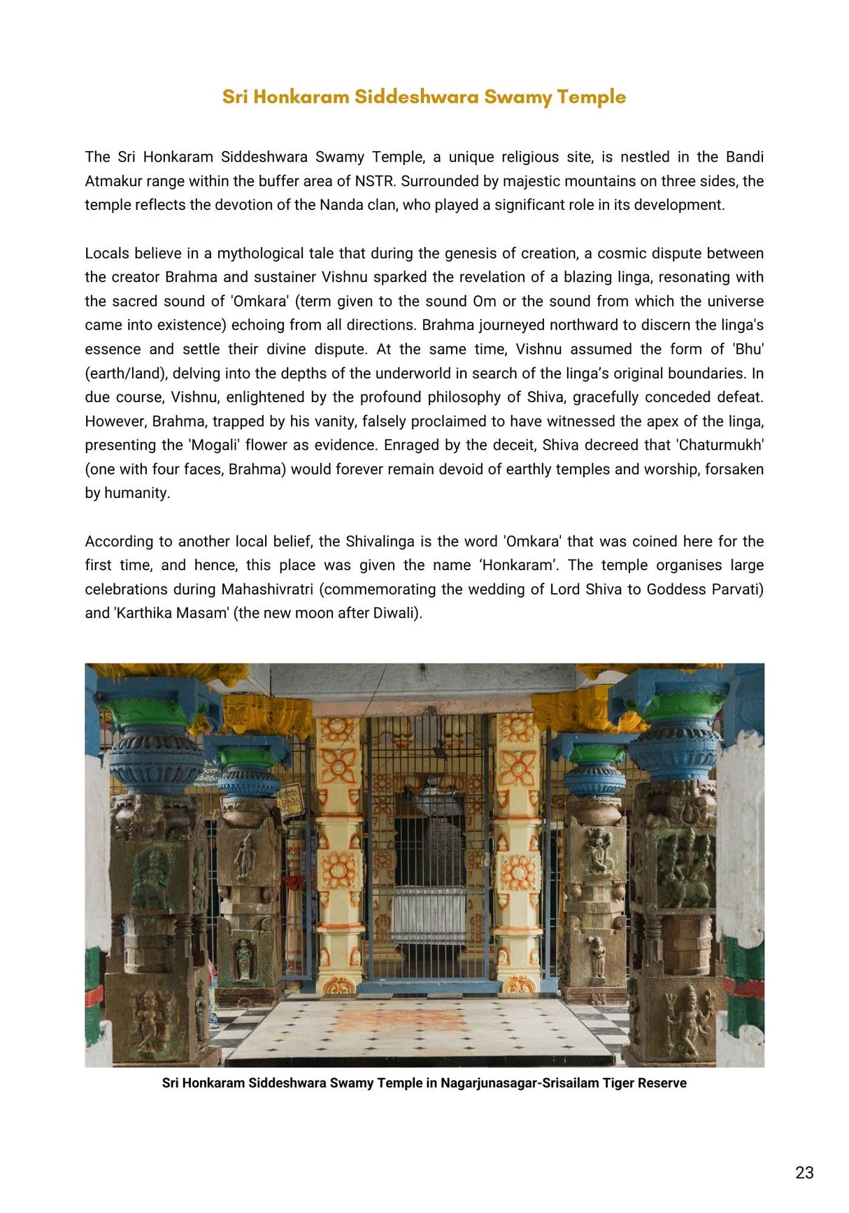 Hidden Treasures : India's Heritage in Tiger Reserves Vol. 1 - Retail Maharaj