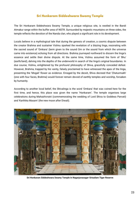 Hidden Treasures : India's Heritage in Tiger Reserves Vol. 1 - Retail Maharaj
