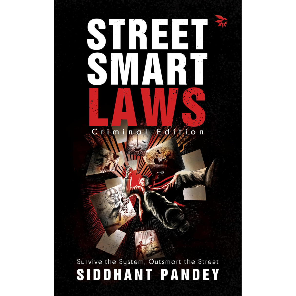 Street Smart Laws: Criminal Edition(Survive the System, Outsmart the Street) - Retail Maharaj