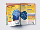 Human Body - Brain And Nervous System: Knowledge Encyclopedia For Children - Retail Maharaj