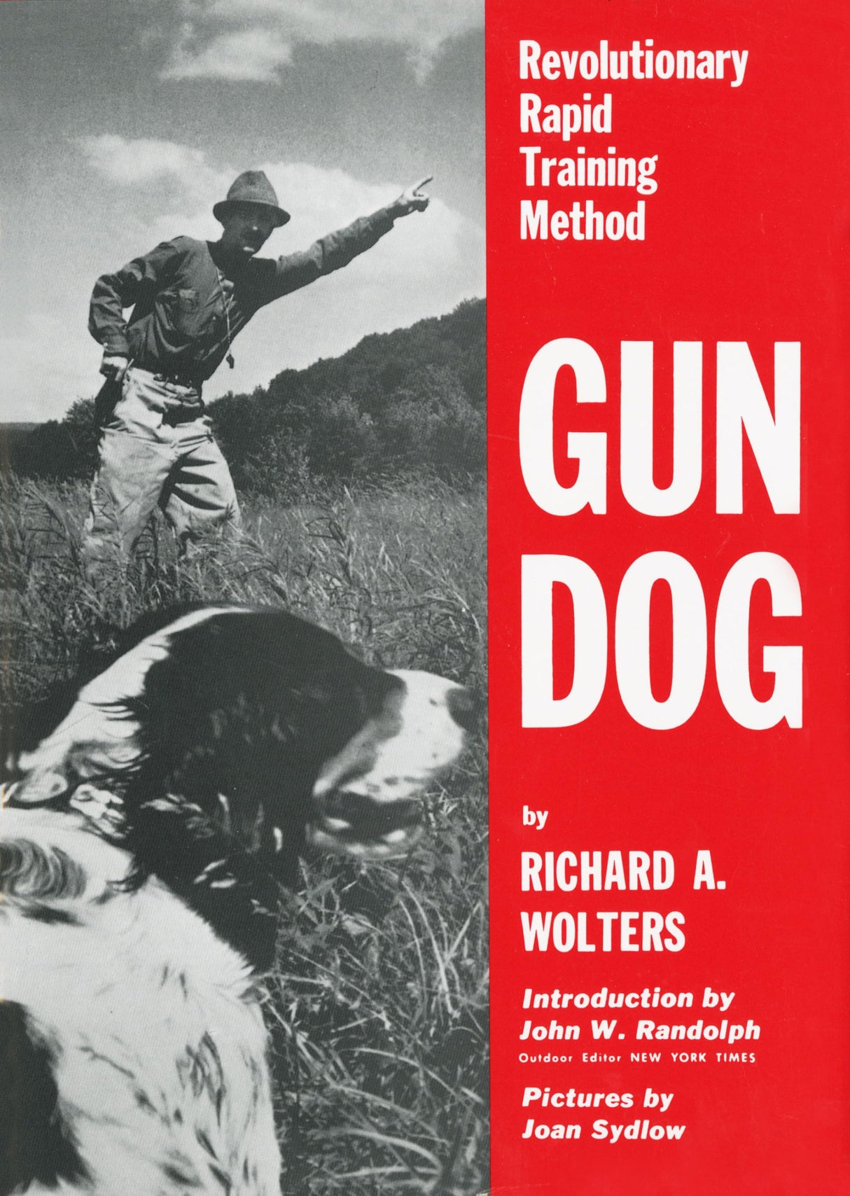 Gun Dog: Revolutionary Rapid Training Method - Retail Maharaj