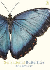 Sensational Butterflies - Retail Maharaj