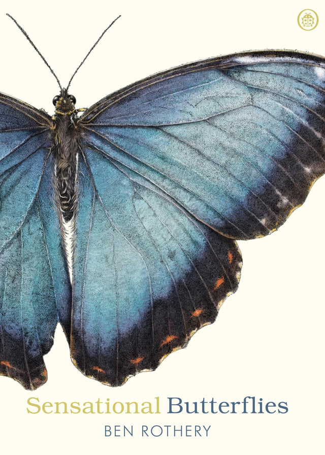 Sensational Butterflies - Retail Maharaj
