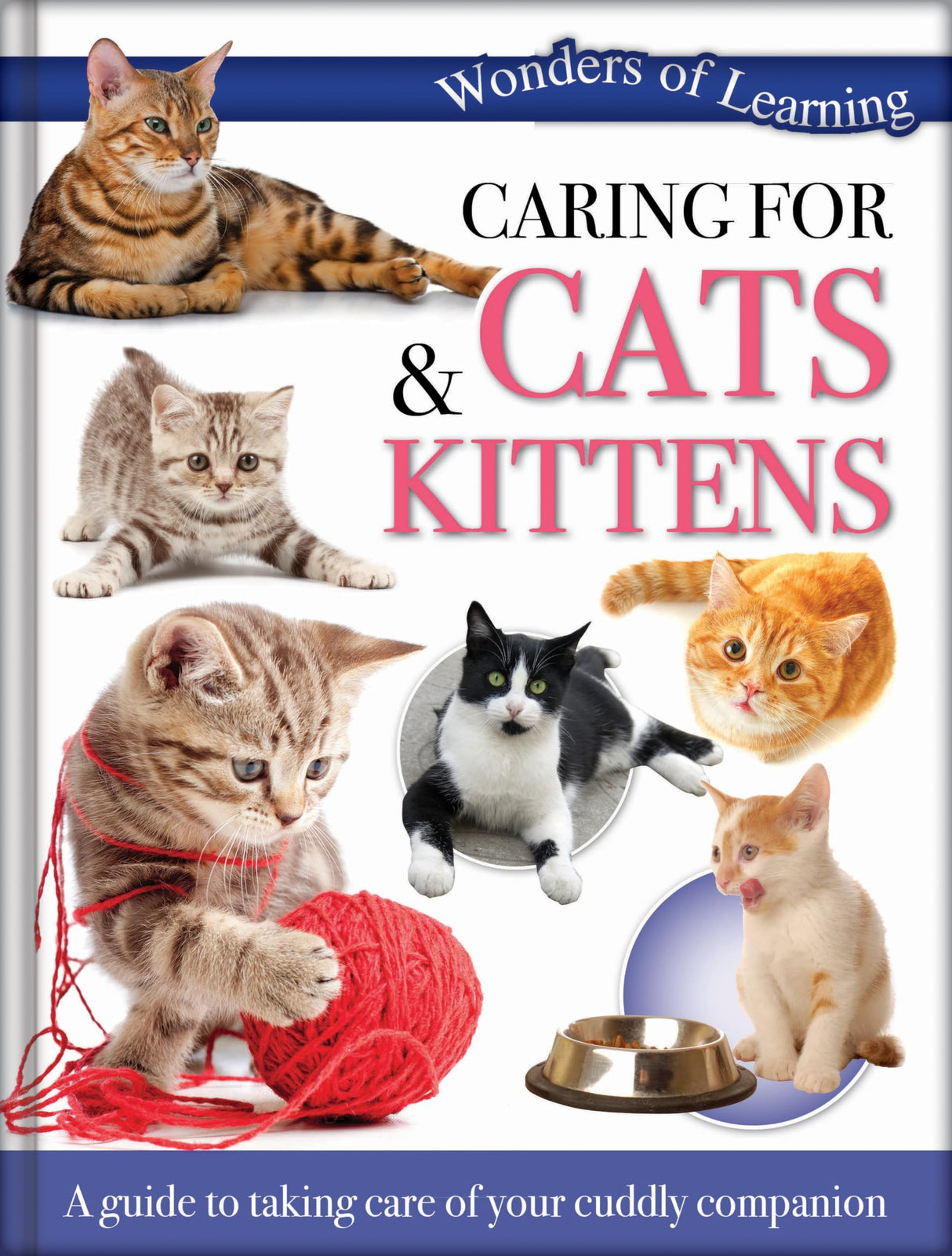 CARING FOR CATS/KITTENS - Retail Maharaj