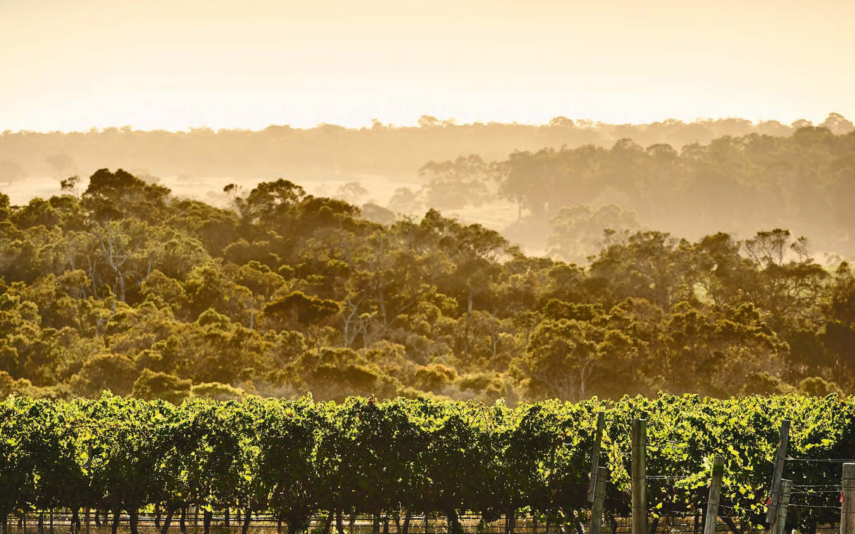 Through the Cellar Door: Australia's Beautiful Wineries and Vineyards, Their Design and Architecture - Retail Maharaj