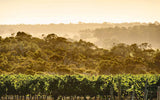 Through the Cellar Door: Australia's Beautiful Wineries and Vineyards, Their Design and Architecture - Retail Maharaj