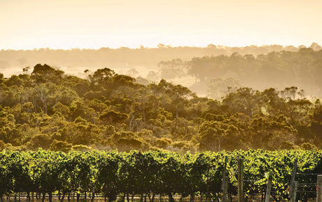 Through the Cellar Door: Australia's Beautiful Wineries and Vineyards, Their Design and Architecture - Retail Maharaj