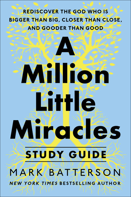 A Million Little Miracles Guide: Rediscover the God Who Is Bigger Than Big, Closer Then Close, and Gooder Than Good - Retail Maharaj