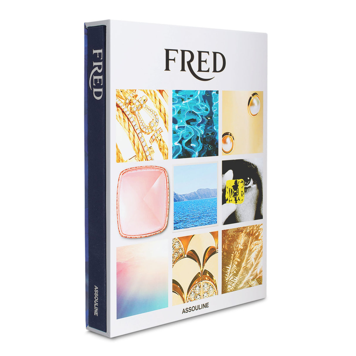 Fred Joaillier - Retail Maharaj