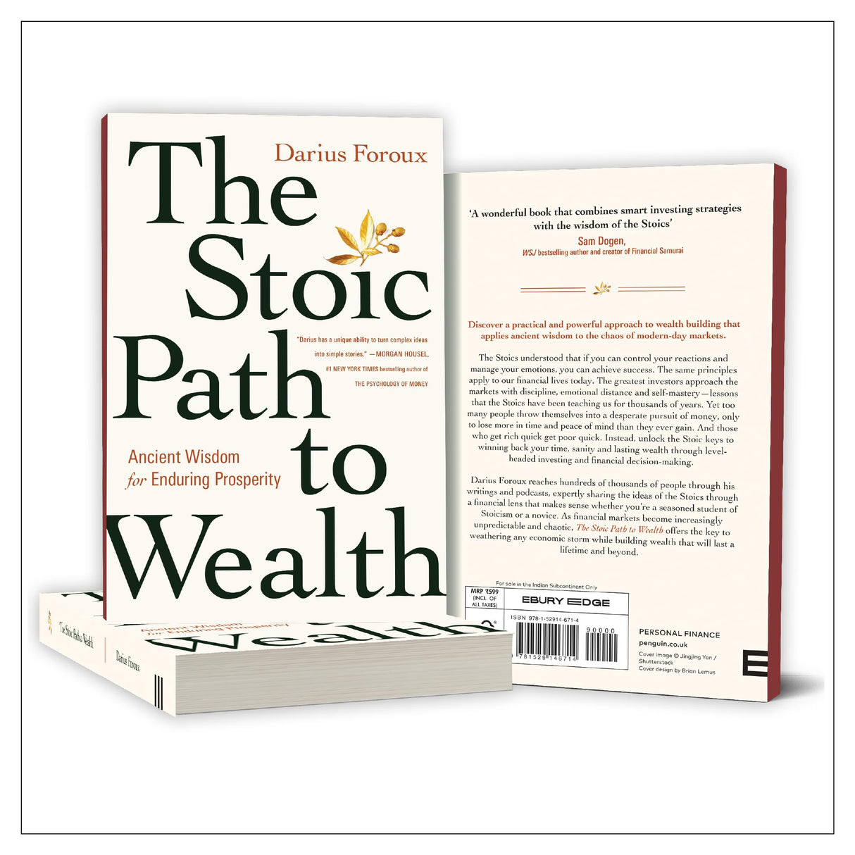 The Stoic Path to Wealth: Ancient Wisdom for Enduring Prosperity - Retail Maharaj