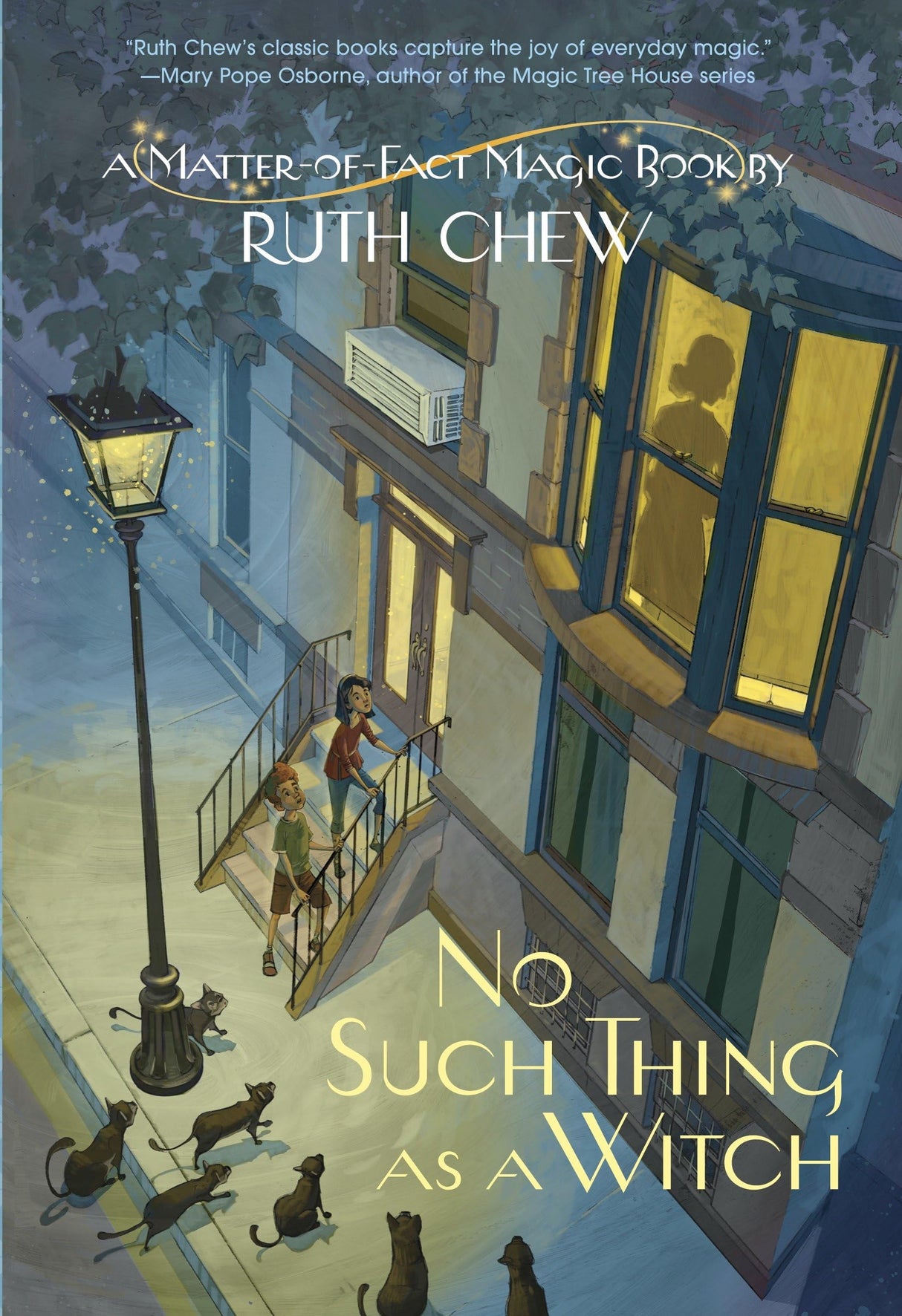 A Matter-of-Fact Magic Book: No Such Thing as a Witch - Retail Maharaj