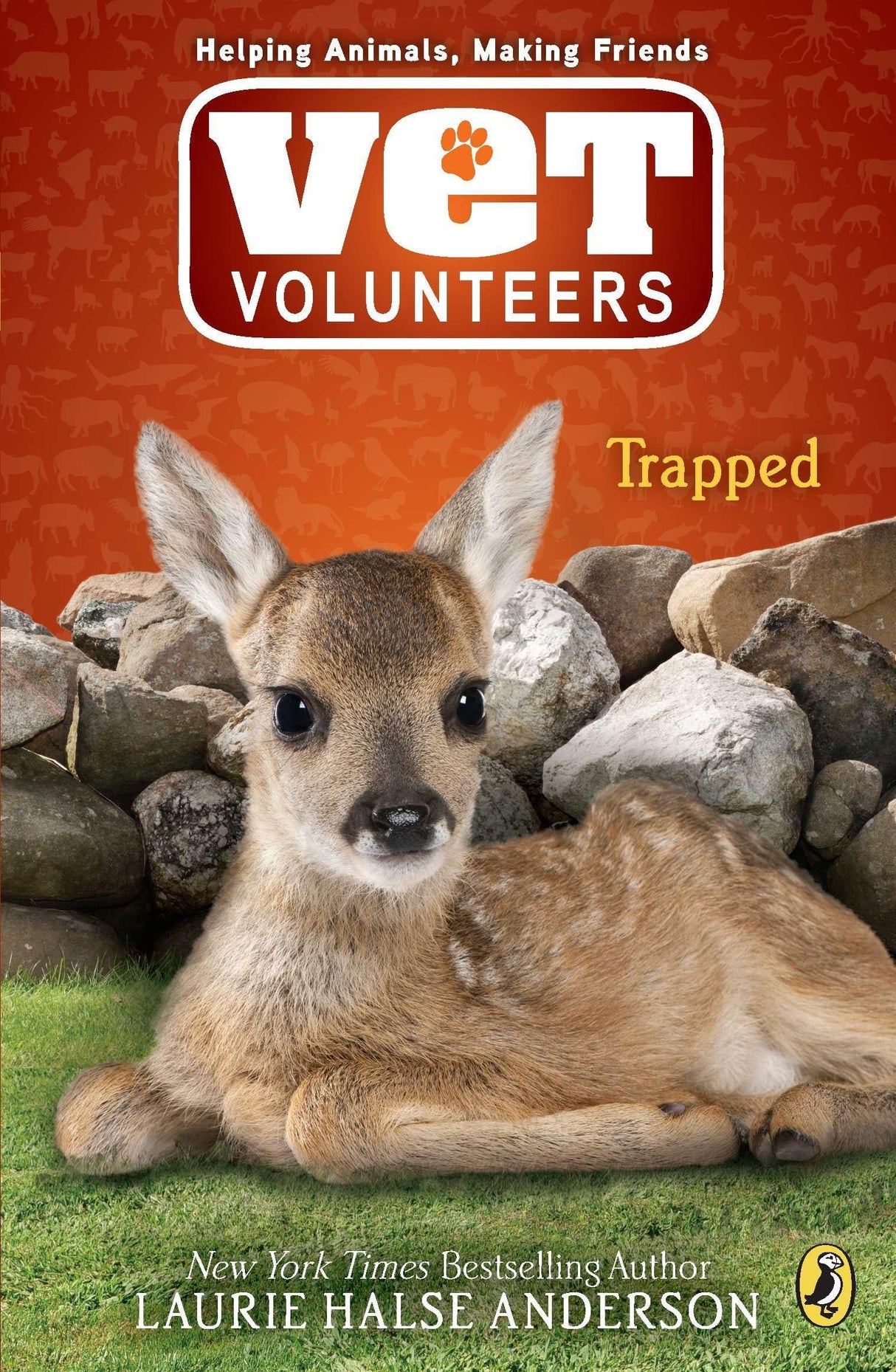 Trapped: 8 (Vet Volunteers) - Retail Maharaj