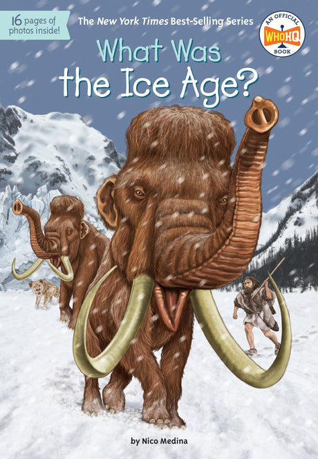 What Was the Ice Age? - Retail Maharaj