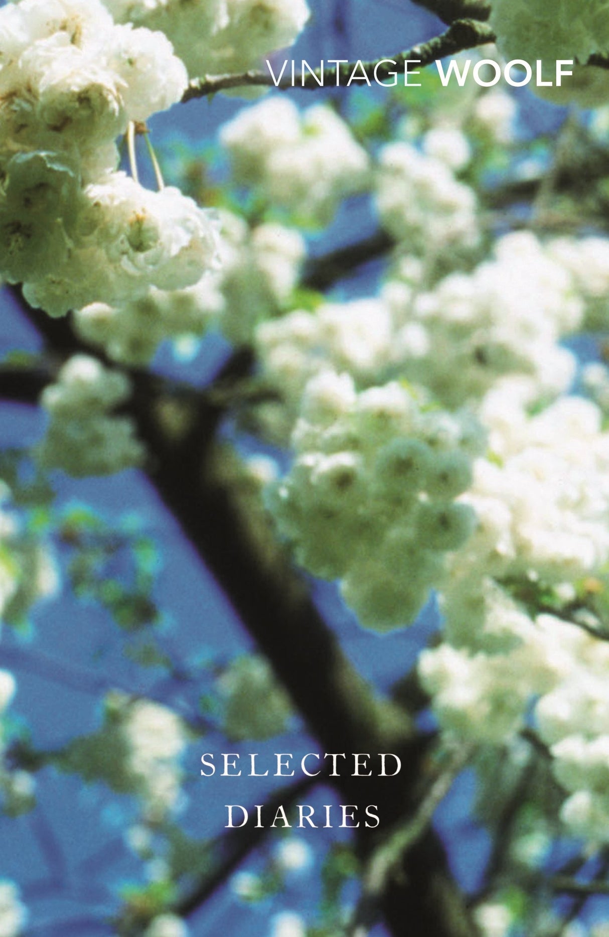 Selected Diaries - Retail Maharaj