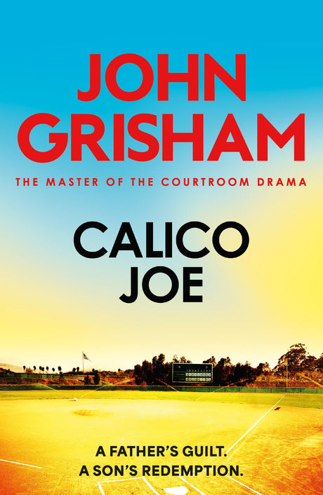 Calico Joe: The unforgettable family drama from the number 1 Sunday Times bestselling author - Retail Maharaj