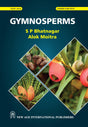Gymnosperms - Retail Maharaj