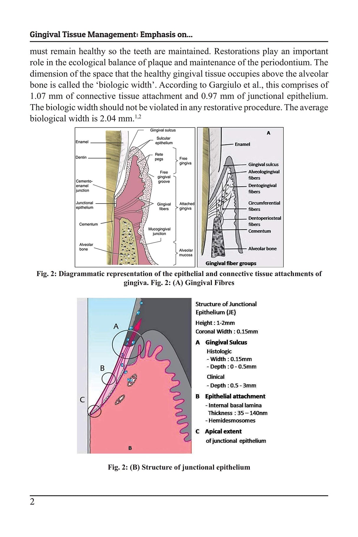 Gingival Tissue Management: Emphasis on Operative and Prosthodontic Aspect, Dec 2019, Operative Dentistry Books - Retail Maharaj