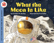 What The Moon Is Like - Retail Maharaj
