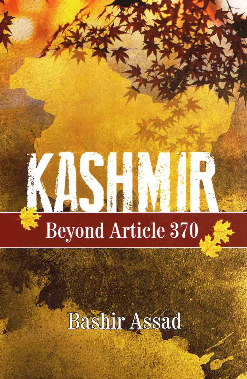 Kashmir: Beyond Article 3701 - Retail Maharaj